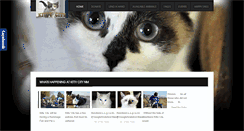 Desktop Screenshot of kittycitynm.com